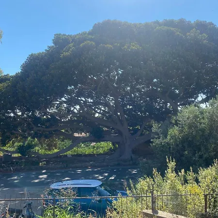 Al Ficus Agrigento